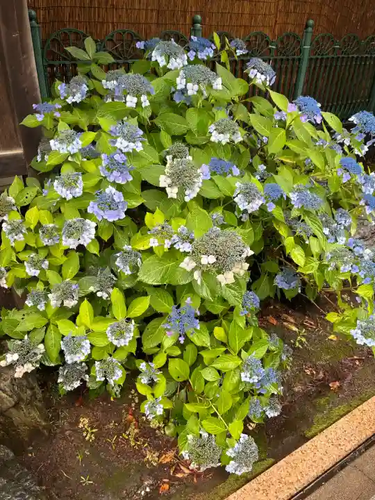 桜神宮(東京都)