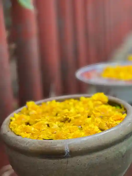 川越八幡宮(埼玉県)