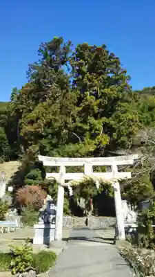 五社神社の鳥居