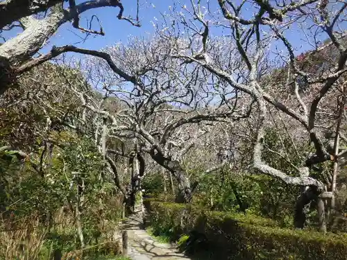 瑞泉寺の庭園