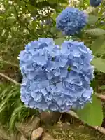 頼光寺(兵庫県)