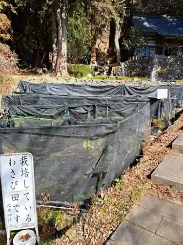 大滝神社(山梨県)