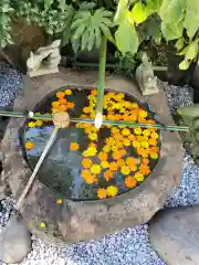 東京羽田 穴守稲荷神社(東京都)