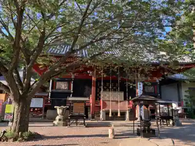 楽法寺(雨引観音)の本殿・本堂