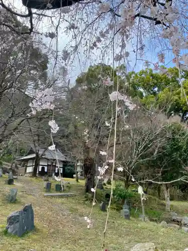 岩屋寺(京都府)