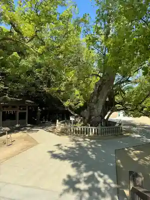 大山祇神社(愛媛県)