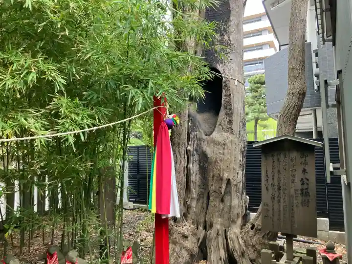東神奈川熊野神社の{uncategorized: "未分類", other: "その他", undefined: "問題あり", building: "その他建物", grave: "お墓", sacred_gate: "鳥居", guardian: "狛犬", statue: "像", buddha: "仏像", history: "歴史", nature: "自然", garden: "庭園", animal: "動物", pagoda: "塔", temizu: "手水舎", mountain_gate: "山門・神門", sanctuary: "本殿・本堂", subordinate: "末社・摂社", art: "芸術", scenery: "景色", jizo: "地蔵", ema: "絵馬", goshuin: "御朱印", omikuji: "おみくじ", items: "授与品その他", amulet: "お守り", goshuincho: "御朱印帳", eats: "食事", festival: "お祭り", votive_dance: "神楽", shichigosan: "七五三参", wedding: "結婚式", experience: "体験その他", initially: "初詣", around: "周辺", anti_infection: "感染症対策"}