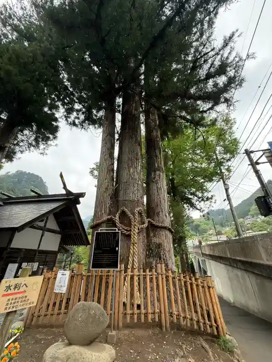 奥氷川神社の{uncategorized: "未分類", other: "その他", undefined: "問題あり", building: "その他建物", grave: "お墓", sacred_gate: "鳥居", guardian: "狛犬", statue: "像", buddha: "仏像", history: "歴史", nature: "自然", garden: "庭園", animal: "動物", pagoda: "塔", temizu: "手水舎", mountain_gate: "山門・神門", sanctuary: "本殿・本堂", subordinate: "末社・摂社", art: "芸術", scenery: "景色", jizo: "地蔵", ema: "絵馬", goshuin: "御朱印", omikuji: "おみくじ", items: "授与品その他", amulet: "お守り", goshuincho: "御朱印帳", eats: "食事", festival: "お祭り", votive_dance: "神楽", shichigosan: "七五三参", wedding: "結婚式", experience: "体験その他", initially: "初詣", around: "周辺", anti_infection: "感染症対策"}