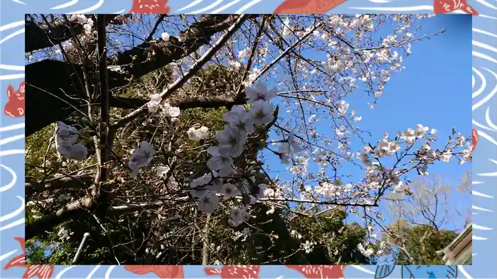 赤羽八幡神社(東京都)