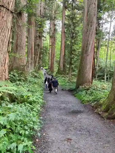 戸隠神社奥社(長野県)