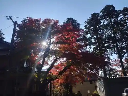 金剱宮(石川県)