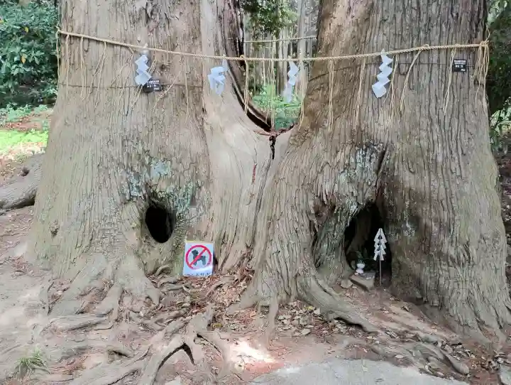 日吉神社の{uncategorized: "未分類", other: "その他", undefined: "問題あり", building: "その他建物", grave: "お墓", sacred_gate: "鳥居", guardian: "狛犬", statue: "像", buddha: "仏像", history: "歴史", nature: "自然", garden: "庭園", animal: "動物", pagoda: "塔", temizu: "手水舎", mountain_gate: "山門・神門", sanctuary: "本殿・本堂", subordinate: "末社・摂社", art: "芸術", scenery: "景色", jizo: "地蔵", ema: "絵馬", goshuin: "御朱印", omikuji: "おみくじ", items: "授与品その他", amulet: "お守り", goshuincho: "御朱印帳", eats: "食事", festival: "お祭り", votive_dance: "神楽", shichigosan: "七五三参", wedding: "結婚式", experience: "体験その他", initially: "初詣", around: "周辺", anti_infection: "感染症対策"}