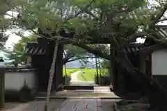 橘寺の山門