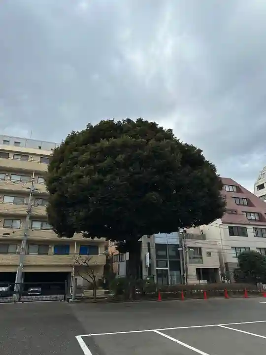 霊雲寺(東京都)