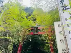 來宮神社(静岡県)