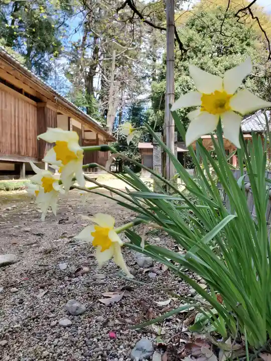 乃木神社の自然
