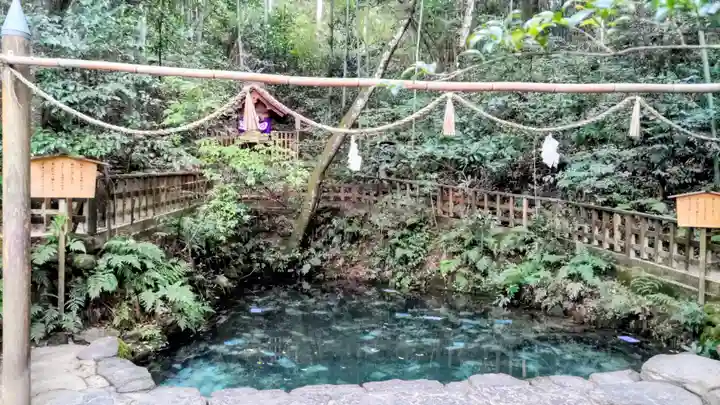 八重垣神社(島根県)