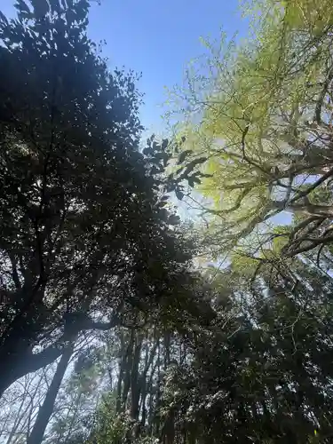 國吉神社(千葉県)