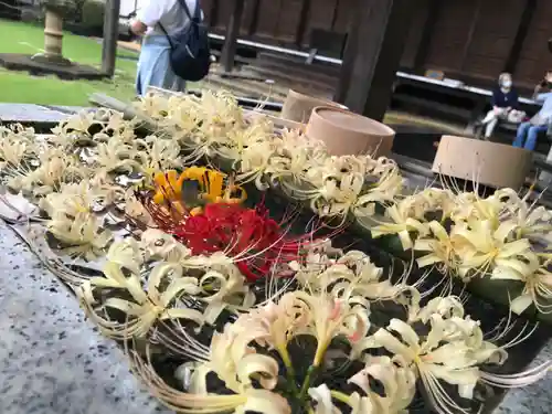 横浜　西方寺の手水舎