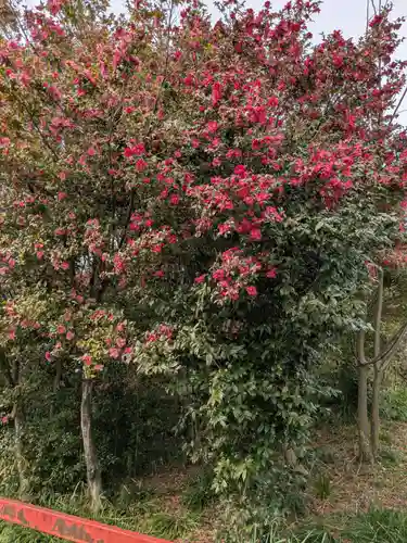 金丸稲荷大明神(岐阜県)
