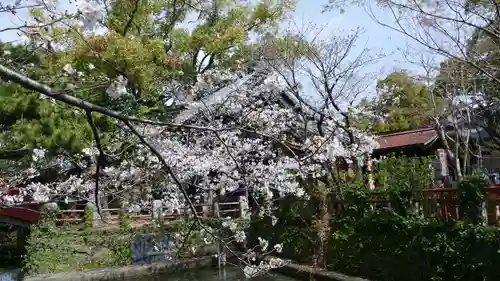 牛嶋天満宮の自然
