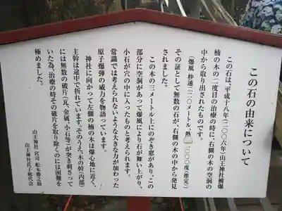 山王神社(長崎県)