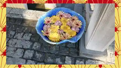 川越八幡宮(埼玉県)