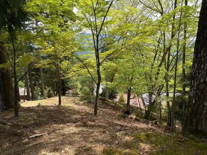 光明寺の{uncategorized: "未分類", other: "その他", undefined: "問題あり", building: "その他建物", grave: "お墓", sacred_gate: "鳥居", guardian: "狛犬", statue: "像", buddha: "仏像", history: "歴史", nature: "自然", garden: "庭園", animal: "動物", pagoda: "塔", temizu: "手水舎", mountain_gate: "山門・神門", sanctuary: "本殿・本堂", subordinate: "末社・摂社", art: "芸術", scenery: "景色", jizo: "地蔵", ema: "絵馬", goshuin: "御朱印", omikuji: "おみくじ", items: "授与品その他", amulet: "お守り", goshuincho: "御朱印帳", eats: "食事", festival: "お祭り", votive_dance: "神楽", shichigosan: "七五三参", wedding: "結婚式", experience: "体験その他", initially: "初詣", around: "周辺", anti_infection: "感染症対策"}