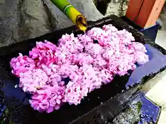 差出磯大嶽山神社 仕事と健康と厄よけの神さまの手水