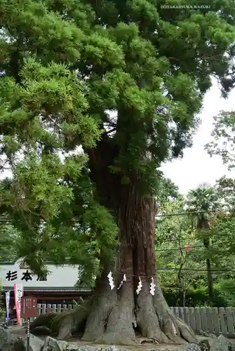 筑波山神社(茨城県)