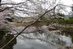 御髪神社の自然