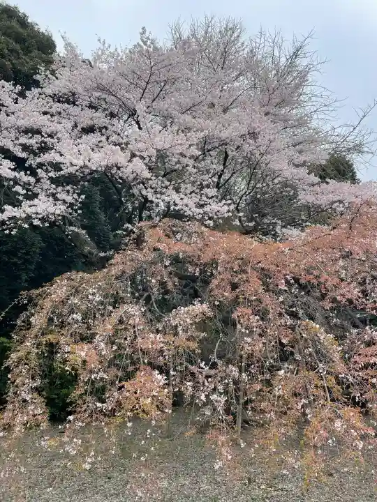 栃木縣護國神社の{uncategorized: "未分類", other: "その他", undefined: "問題あり", building: "その他建物", grave: "お墓", sacred_gate: "鳥居", guardian: "狛犬", statue: "像", buddha: "仏像", history: "歴史", nature: "自然", garden: "庭園", animal: "動物", pagoda: "塔", temizu: "手水舎", mountain_gate: "山門・神門", sanctuary: "本殿・本堂", subordinate: "末社・摂社", art: "芸術", scenery: "景色", jizo: "地蔵", ema: "絵馬", goshuin: "御朱印", omikuji: "おみくじ", items: "授与品その他", amulet: "お守り", goshuincho: "御朱印帳", eats: "食事", festival: "お祭り", votive_dance: "神楽", shichigosan: "七五三参", wedding: "結婚式", experience: "体験その他", initially: "初詣", around: "周辺", anti_infection: "感染症対策"}