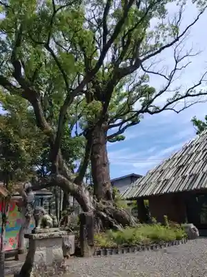 青井阿蘇神社(熊本県)