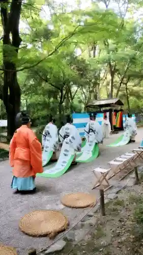 賀茂御祖神社（下鴨神社）の{uncategorized: "未分類", other: "その他", undefined: "問題あり", building: "その他建物", grave: "お墓", sacred_gate: "鳥居", guardian: "狛犬", statue: "像", buddha: "仏像", history: "歴史", nature: "自然", garden: "庭園", animal: "動物", pagoda: "塔", temizu: "手水舎", mountain_gate: "山門・神門", sanctuary: "本殿・本堂", subordinate: "末社・摂社", art: "芸術", scenery: "景色", jizo: "地蔵", ema: "絵馬", goshuin: "御朱印", omikuji: "おみくじ", items: "授与品その他", amulet: "お守り", goshuincho: "御朱印帳", eats: "食事", festival: "お祭り", votive_dance: "神楽", shichigosan: "七五三参", wedding: "結婚式", experience: "体験その他", initially: "初詣", around: "周辺", anti_infection: "感染症対策"}