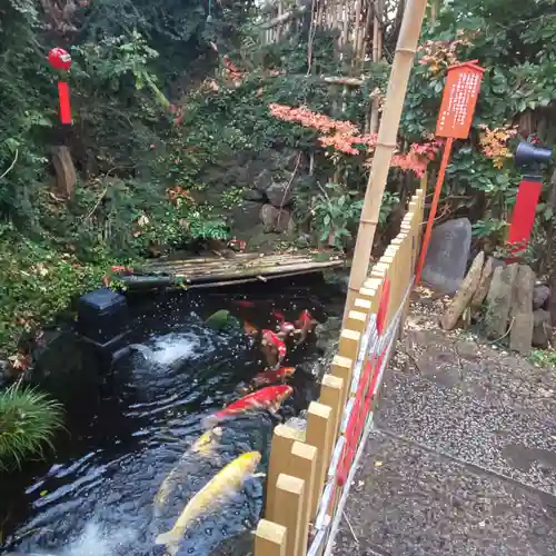 吉原弁財天本宮（吉原神社奥宮）の庭園