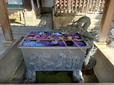 柳谷観音　楊谷寺(京都府)