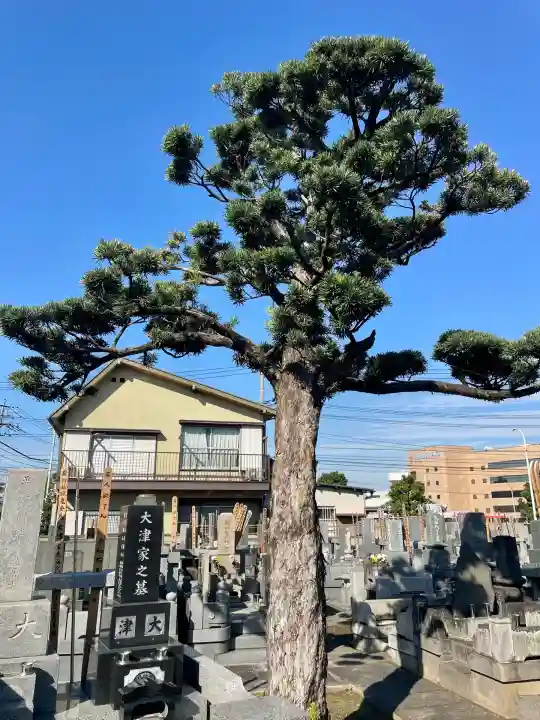 西方寺(埼玉県)