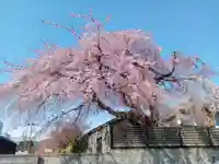 成覚寺(宮城県)