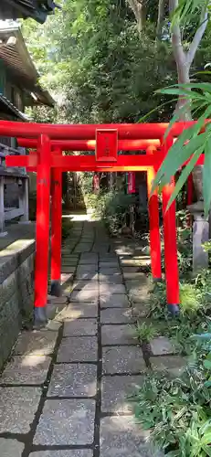 白笹稲荷神社の鳥居