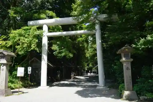 天岩戸神社の鳥居