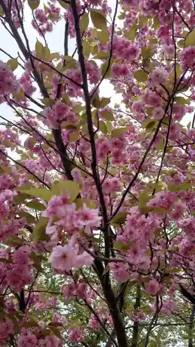 相馬神社(北海道)