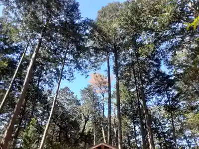 高麗神社(埼玉県)