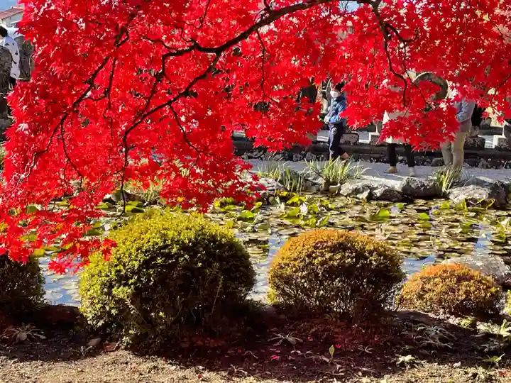 長圓寺(長野県)