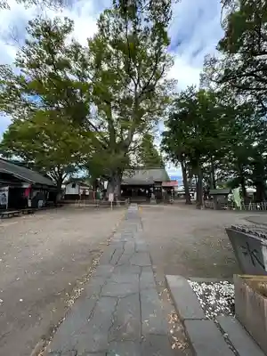 白鳥神社(長野県)