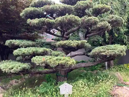 西本願寺札幌別院(北海道)