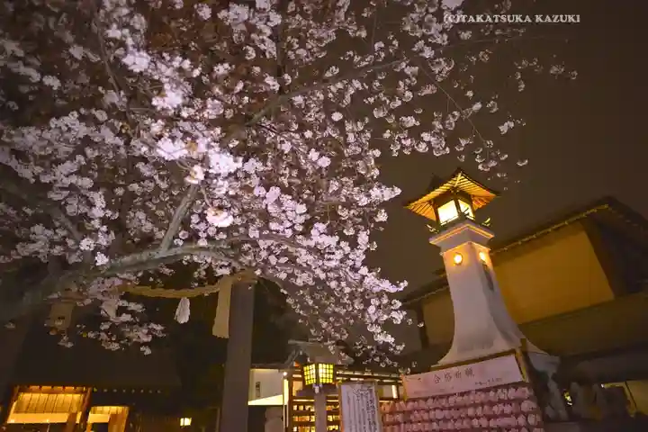 伊勢山皇大神宮(神奈川県)