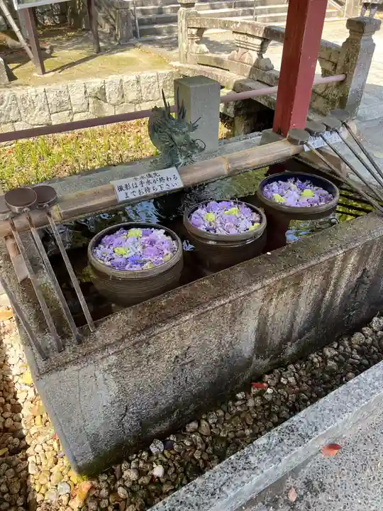 津島神社の手水舎