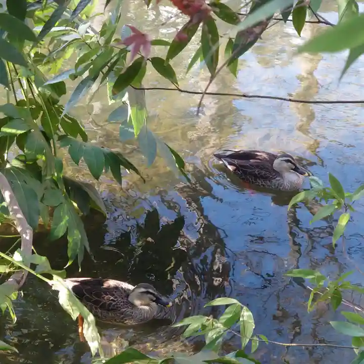 廣瀬神社(埼玉県)