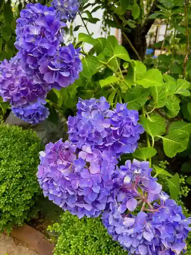 法輪寺(東京都)