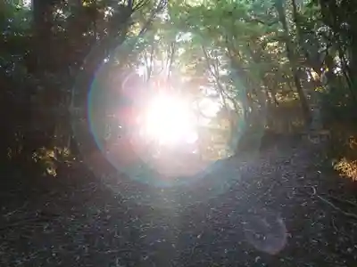 大元神社(宇佐神宮奥宮)(大分県)
